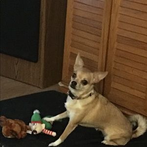 Meet your Posher, Sharon